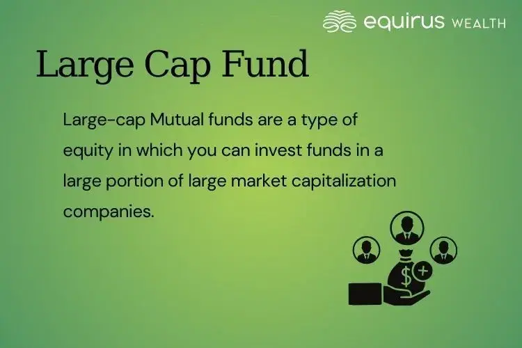 Large Cap Fund.webp