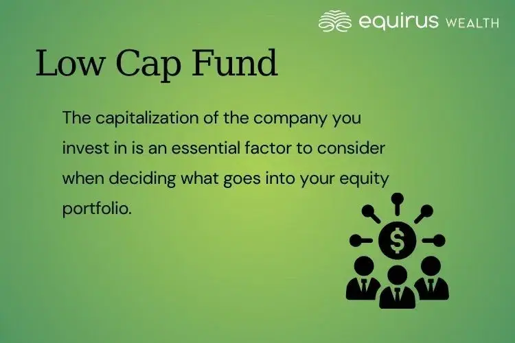 Low Cap Fund.webp