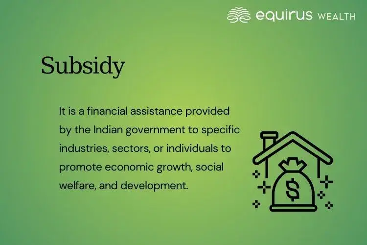 Subsidy.webp