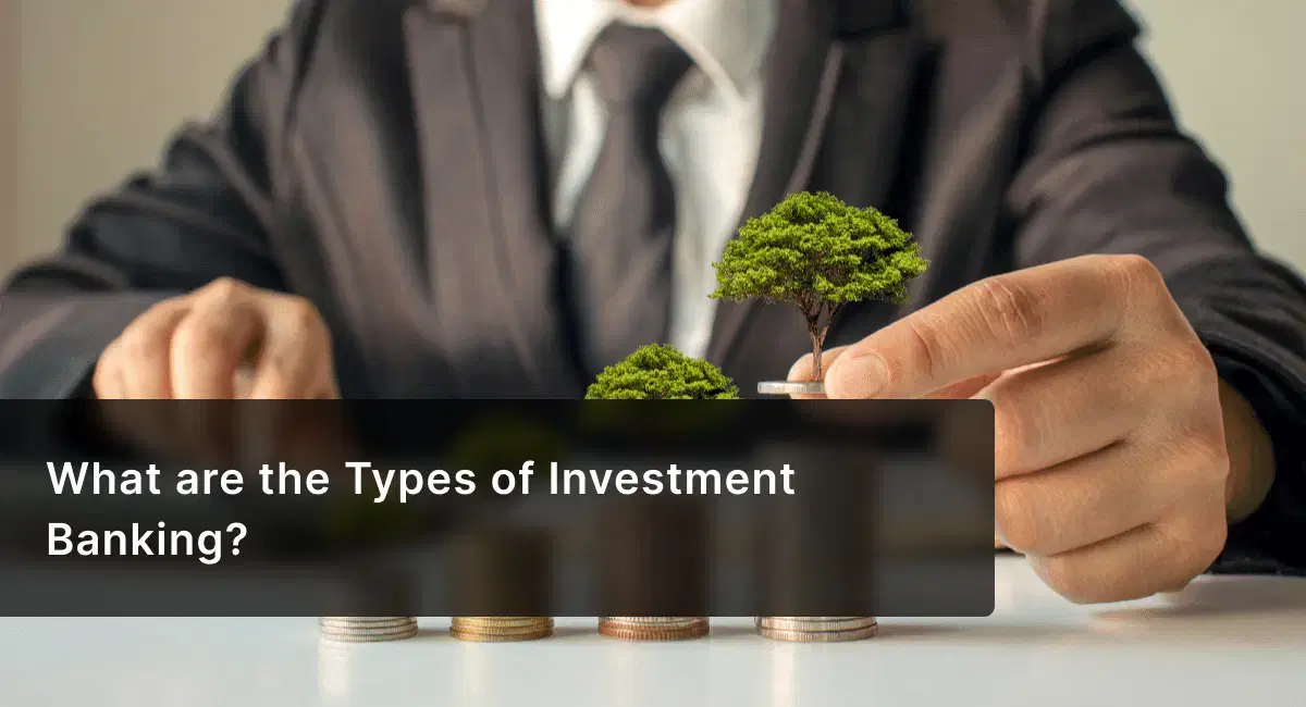 What are the Types of Investment Banking?